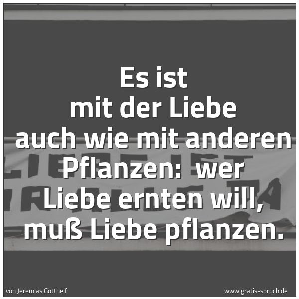 Spruchbild mit dem Text 'Es ist mit der Liebe auch wie mit anderen Pflanzen:
wer Liebe ernten will, muß Liebe pflanzen.'