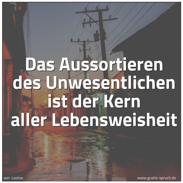 Spruchbild mit dem Text 'Das Aussortieren des Unwesentlichen
ist der Kern aller Lebensweisheit'