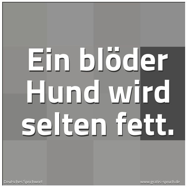 Spruchbild mit dem Text 'Ein blöder Hund wird selten fett.'