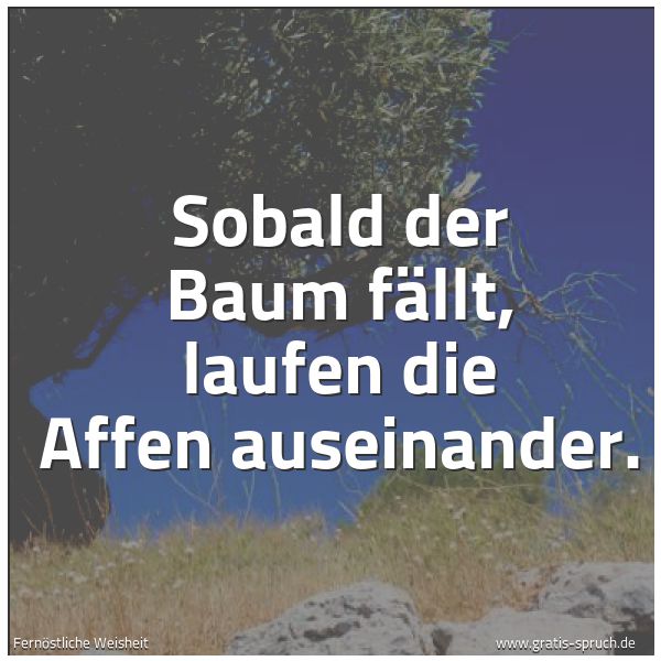 Spruchbild mit dem Text 'Sobald der Baum fällt,
laufen die Affen auseinander.'