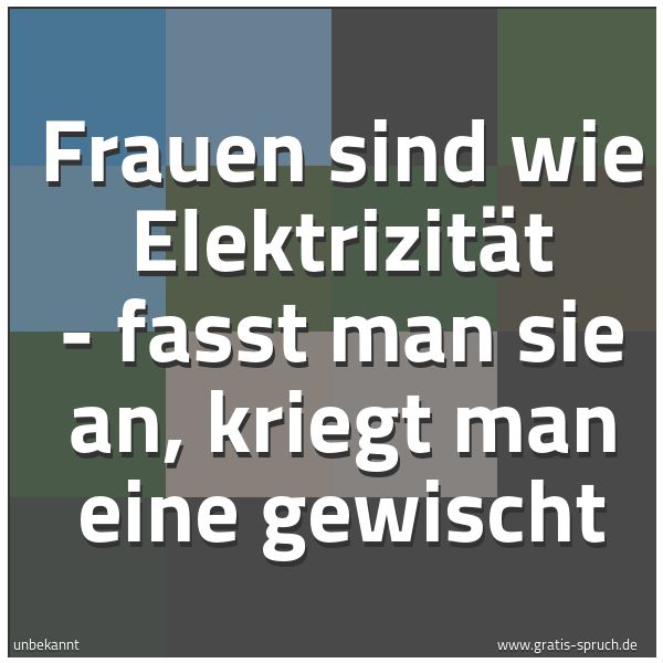 Spruchbild mit dem Text 'Frauen sind wie Elektrizität -
fasst man sie an, kriegt man eine gewischt'