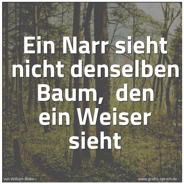 Spruchbild mit dem Text 'Ein Narr sieht nicht denselben Baum,
den ein Weiser sieht'