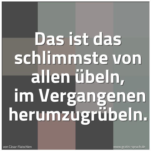 Spruchbild mit dem Text 'Das ist das schlimmste von allen Übeln,
im Vergangenen herumzugrübeln.'