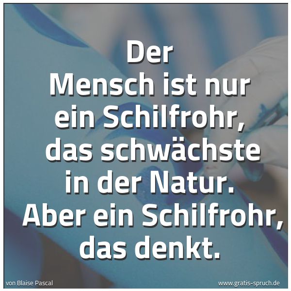 Spruchbild mit dem Text 'Der Mensch ist nur ein Schilfrohr,
das schwächste in der Natur.
Aber ein Schilfrohr, das denkt.'
