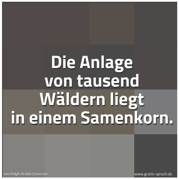Spruchbild mit dem Text 'Die Anlage von tausend Wäldern
liegt in einem Samenkorn.'
