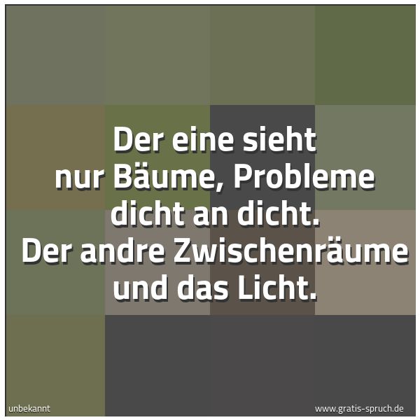 Spruchbild mit dem Text 'Der eine sieht nur Bäume, Probleme dicht an dicht.
Der andre Zwischenräume und das Licht.'