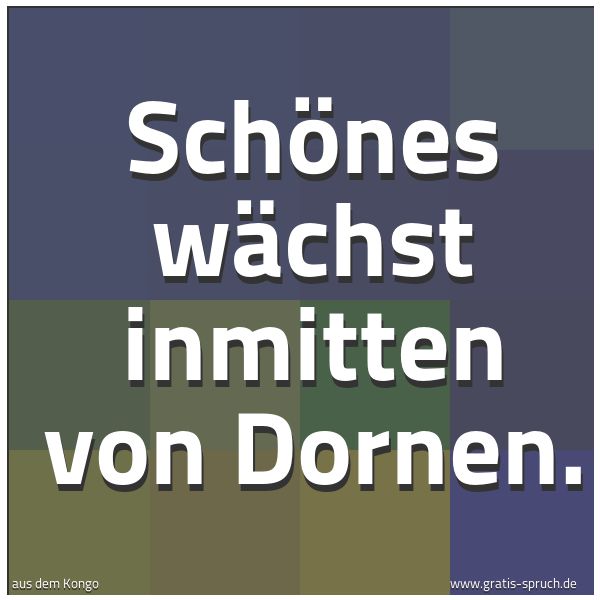 Spruchbild mit dem Text 'Schönes wächst inmitten von Dornen.'