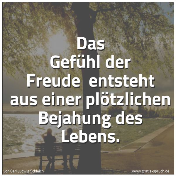 Spruchbild mit dem Text 'Das Gefühl der Freude
entsteht aus einer plötzlichen Bejahung des Lebens.'