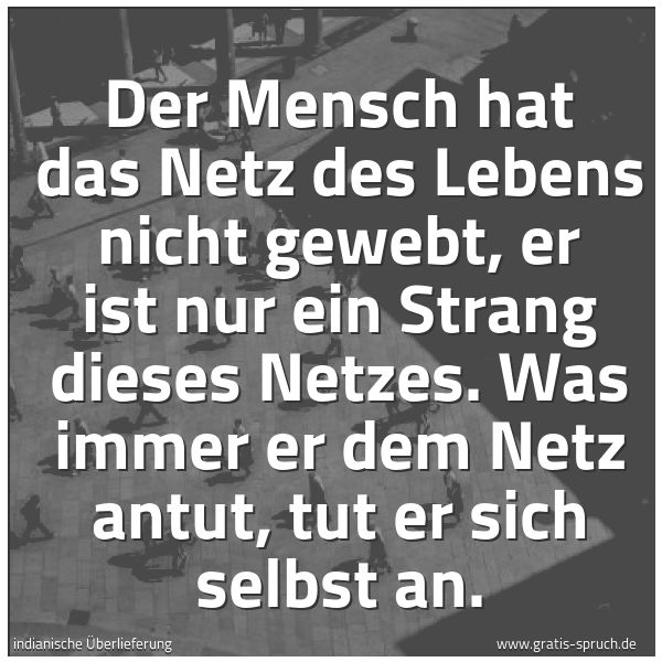 Spruchbild mit dem Text 'Der Mensch hat das Netz des Lebens nicht gewebt,
er ist nur ein Strang dieses Netzes.
Was immer er dem Netz antut, tut er sich selbst an.'