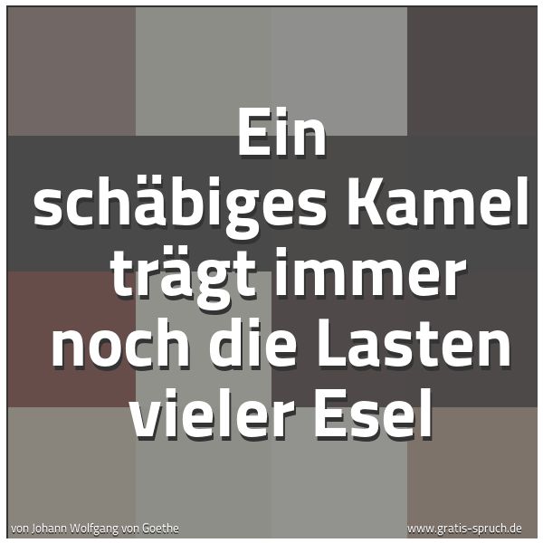 Spruchbild mit dem Text 'Ein schäbiges Kamel
trägt immer noch die Lasten vieler Esel'