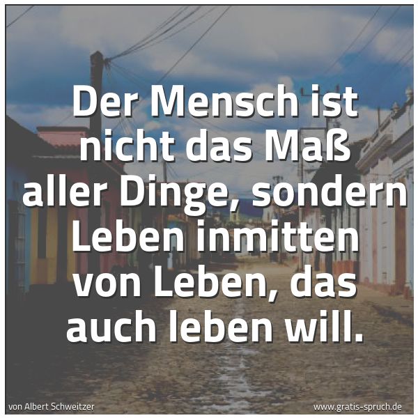 Spruchbild mit dem Text 'Der Mensch ist nicht das Maß aller Dinge,
sondern Leben inmitten von Leben,
das auch leben will.'