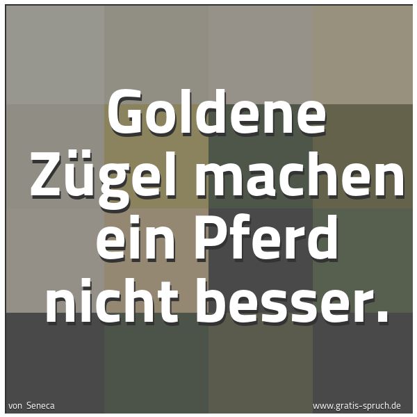 Spruchbild mit dem Text 'Goldene Zügel machen ein Pferd nicht besser.'