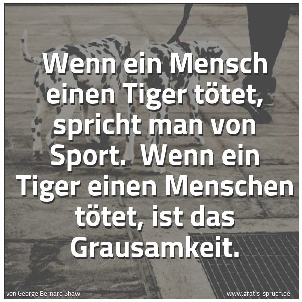 Spruchbild mit dem Text 'Wenn ein Mensch einen Tiger tötet, spricht man von Sport.
Wenn ein Tiger einen Menschen tötet, ist das Grausamkeit.'