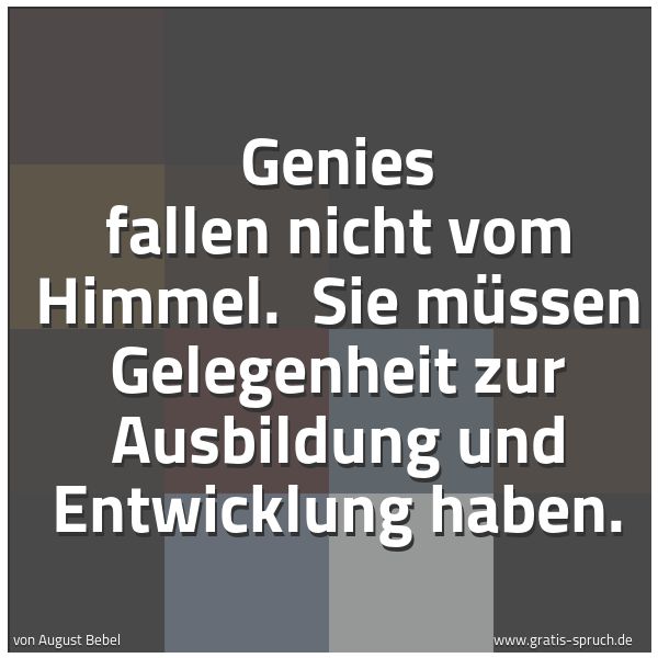 Spruchbild mit dem Text 'Genies fallen nicht vom Himmel.
Sie müssen Gelegenheit zur Ausbildung und Entwicklung haben.'