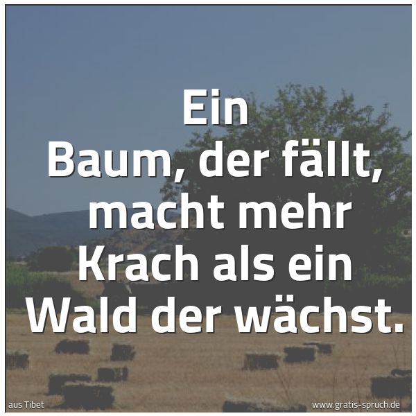 Spruchbild mit dem Text 'Ein Baum, der fällt,
macht mehr Krach als ein Wald der wächst. '