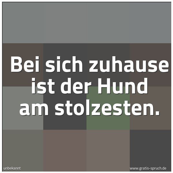 Spruchbild mit dem Text 'Bei sich zuhause ist der Hund am stolzesten.'