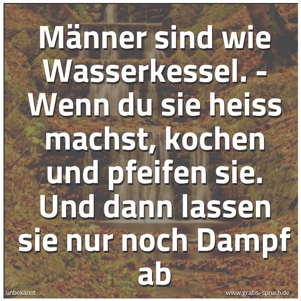 Spruchbild mit dem Text 'Männer sind wie Wasserkessel. -
Wenn du sie heiß machst,
kochen und pfeifen sie.
Und dann lassen sie nur noch Dampf ab'