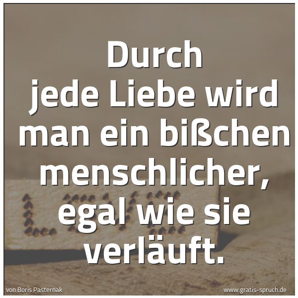 Spruchbild mit dem Text 'Durch jede Liebe wird man
ein bißchen menschlicher,
egal wie sie verläuft.'