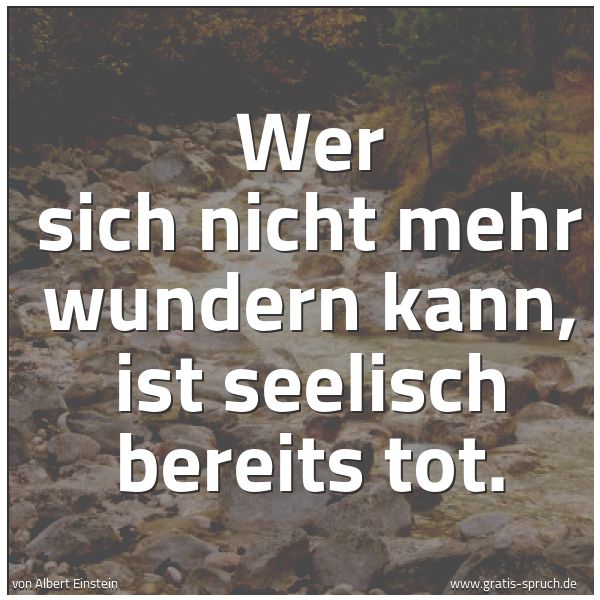 Spruchbild mit dem Text 'Wer sich nicht mehr wundern kann,
ist seelisch bereits tot.'