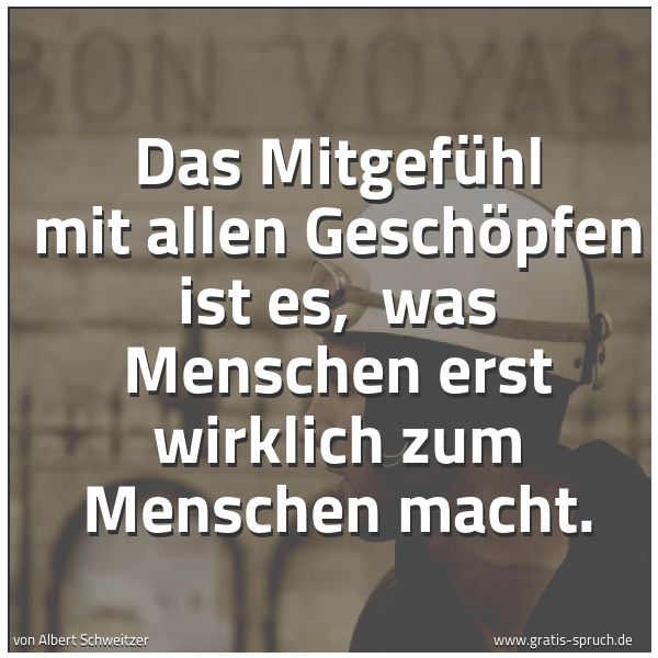 Spruchbild mit dem Text 'Das Mitgefühl mit allen Geschöpfen ist es,
was Menschen erst wirklich zum Menschen macht.
'
