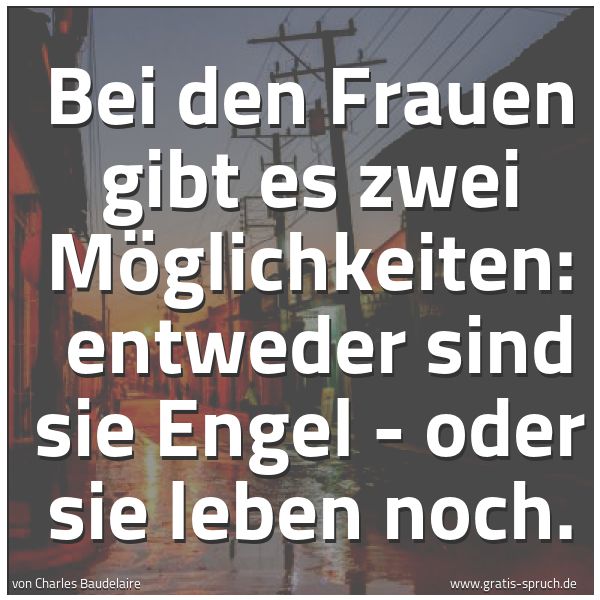Spruchbild mit dem Text 'Bei den Frauen gibt es zwei Möglichkeiten:
entweder sind sie Engel - oder sie leben noch.'