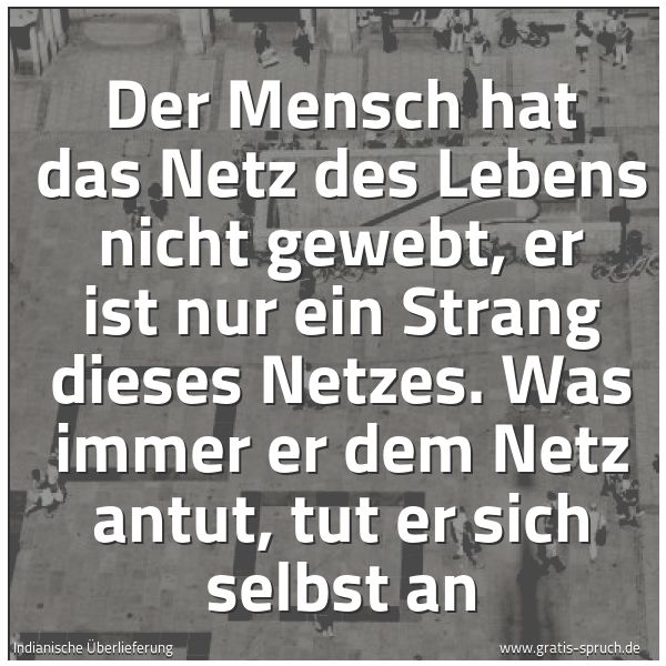 Spruchbild mit dem Text 'Der Mensch hat das Netz des Lebens nicht gewebt,
er ist nur ein Strang dieses Netzes.
Was immer er dem Netz antut, tut er sich selbst an'