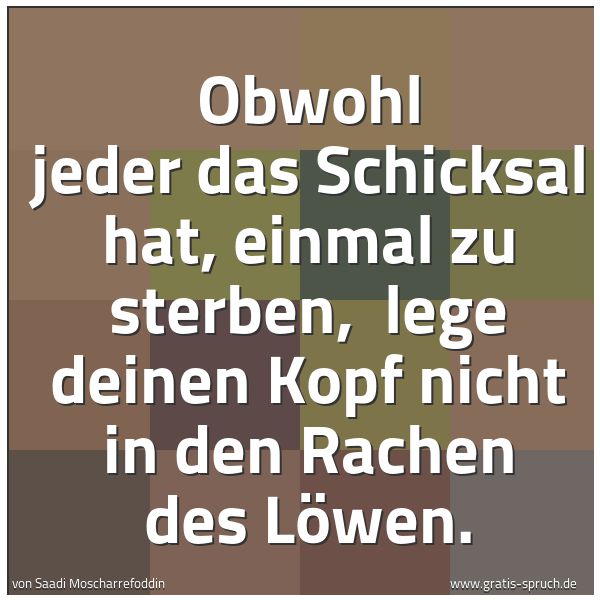 Spruchbild mit dem Text 'Obwohl jeder das Schicksal hat, einmal zu sterben,
lege deinen Kopf nicht in den Rachen des Löwen.'
