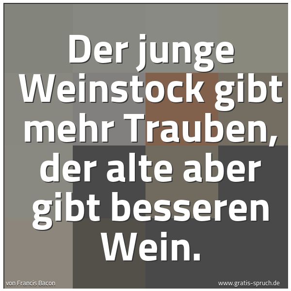 Spruchbild mit dem Text 'Der junge Weinstock gibt mehr Trauben,
der alte aber gibt besseren Wein.'