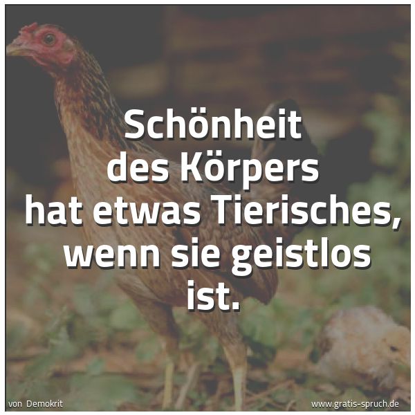 Spruchbild mit dem Text 'Schönheit des Körpers hat etwas Tierisches,
wenn sie geistlos ist.'
