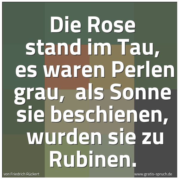 Spruchbild mit dem Text 'Die Rose stand im Tau,
es waren Perlen grau,
als Sonne sie beschienen,
wurden sie zu Rubinen.'