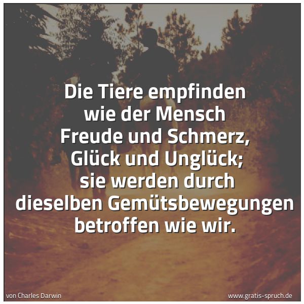 Spruchbild mit dem Text 'Die Tiere empfinden wie der Mensch Freude und Schmerz,
Glück und Unglück;
sie werden durch dieselben Gemütsbewegungen betroffen wie wir.'