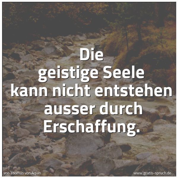 Spruchbild mit dem Text 'Die geistige Seele kann nicht entstehen
ausser durch Erschaffung.'