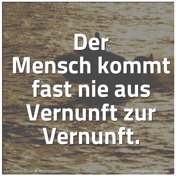 Spruchbild mit dem Text 'Der Mensch kommt fast nie aus Vernunft zur Vernunft. '