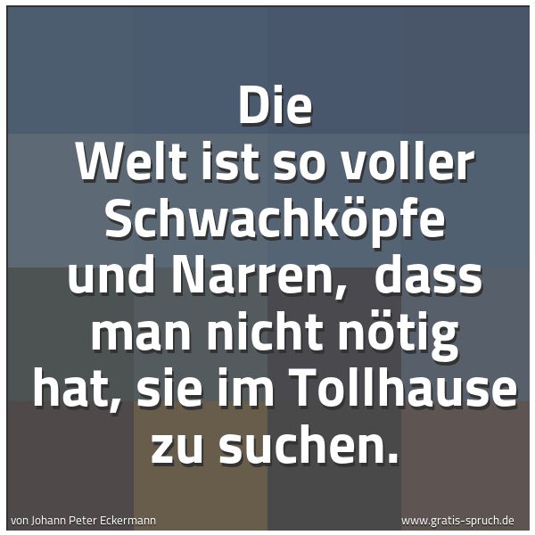 Spruchbild mit dem Text 'Die Welt ist so voller Schwachköpfe und Narren,
dass man nicht nötig hat, sie im Tollhause zu suchen.'