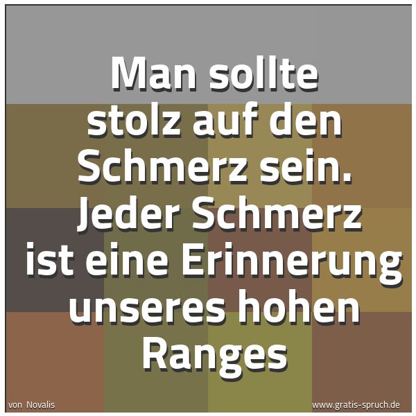 Spruchbild mit dem Text 'Man sollte stolz auf den Schmerz sein.
Jeder Schmerz ist eine Erinnerung unseres hohen Ranges'