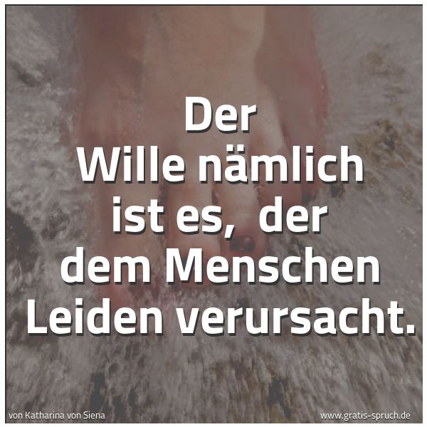 Spruchbild mit dem Text 'Der Wille nämlich ist es,
der dem Menschen Leiden verursacht.'