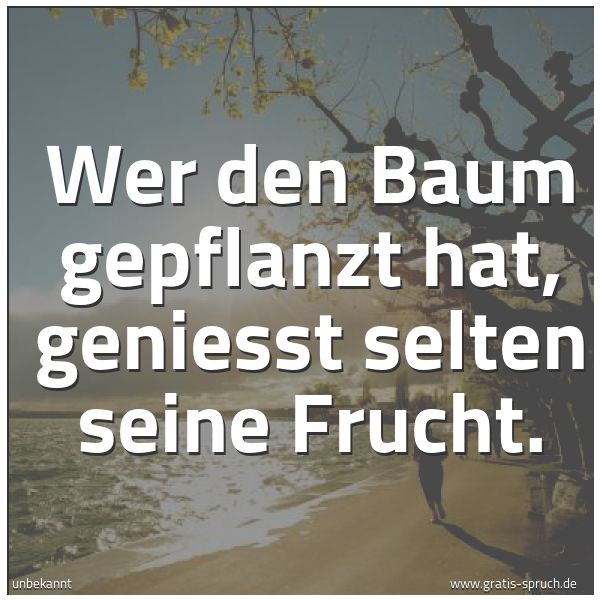Spruchbild mit dem Text 'Wer den Baum gepflanzt hat,
geniesst selten seine Frucht.'