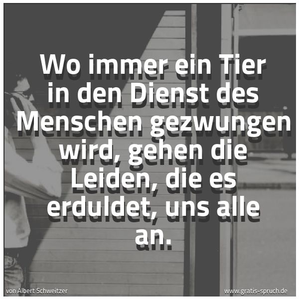 Spruchbild mit dem Text 'Wo immer ein Tier in den Dienst des Menschen gezwungen wird, gehen die Leiden, die es erduldet, uns alle an. '
