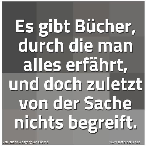 Spruchbild mit dem Text 'Es gibt Bücher, durch die man alles erfährt,
und doch zuletzt von der Sache nichts begreift.'