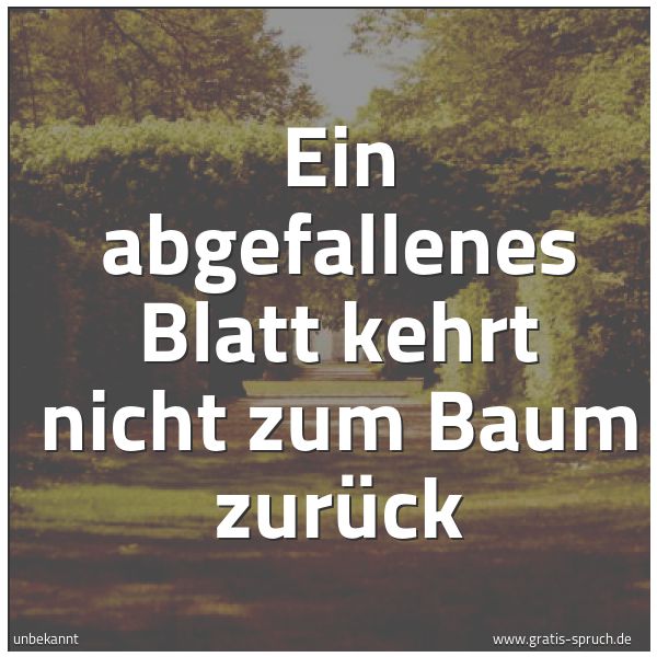 Spruchbild mit dem Text 'Ein abgefallenes Blatt kehrt nicht zum Baum zurück'