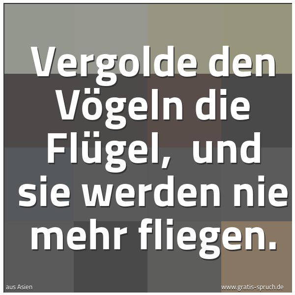 Spruchbild mit dem Text 'Vergolde den Vögeln die Flügel,
und sie werden nie mehr fliegen.'