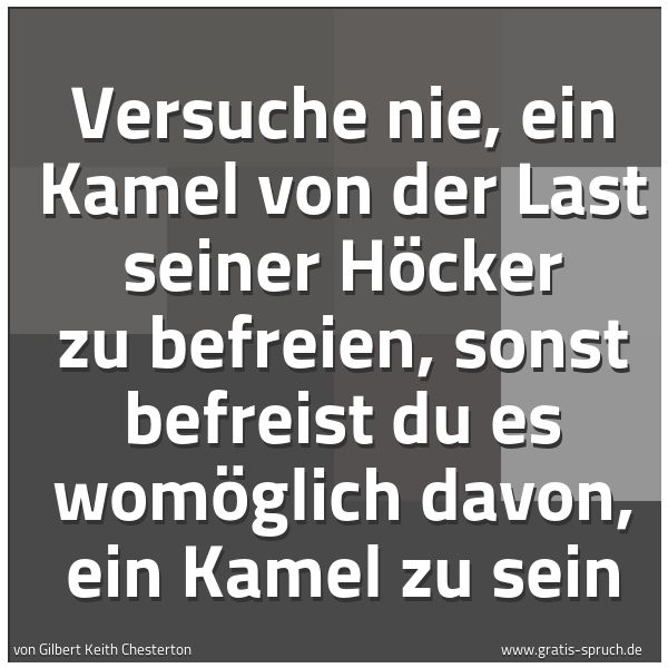 Spruchbild mit dem Text 'Versuche nie, ein Kamel von der Last seiner Höcker zu befreien, sonst befreist du es womöglich davon, ein Kamel zu sein'