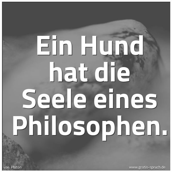 Spruchbild mit dem Text 'Ein Hund hat die Seele eines Philosophen.'