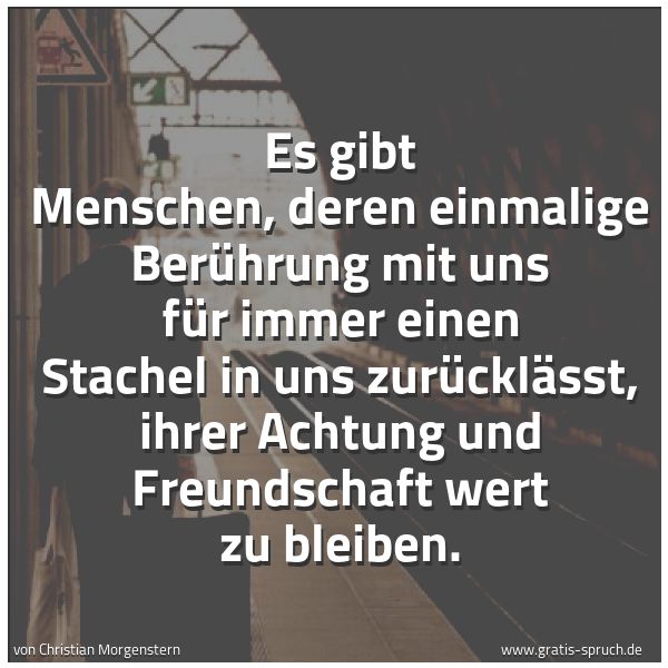 Spruchbild mit dem Text 'Es gibt Menschen, deren einmalige Berührung mit uns
für immer einen Stachel in uns zurücklässt,
ihrer Achtung und Freundschaft wert zu bleiben.'