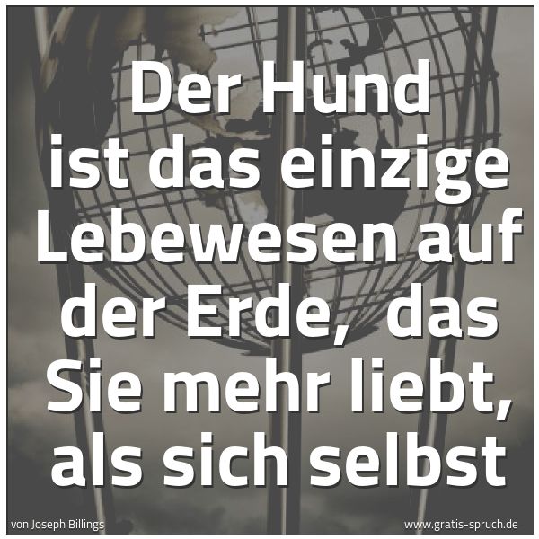 Spruchbild mit dem Text 'Der Hund ist das einzige Lebewesen auf der Erde,
das Sie mehr liebt, als sich selbst'