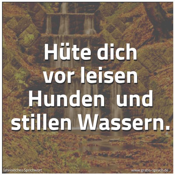 Spruchbild mit dem Text 'Hüte dich vor leisen Hunden
und stillen Wassern.'