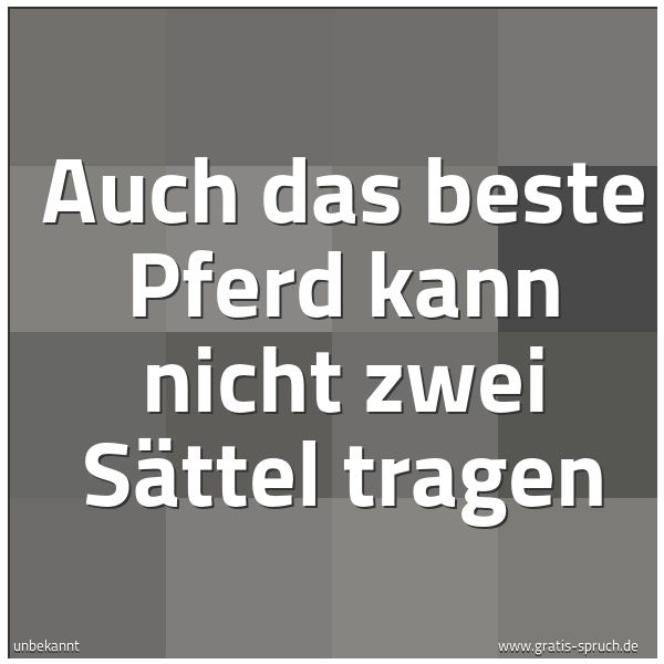 Spruchbild mit dem Text 'Auch das beste Pferd kann nicht zwei Sättel tragen'