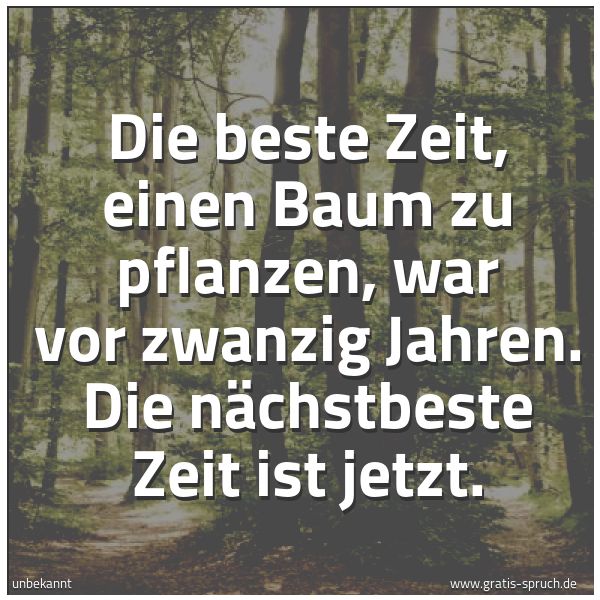 Spruchbild mit dem Text 'Die beste Zeit, einen Baum zu pflanzen,
war vor zwanzig Jahren.
Die nächstbeste Zeit ist jetzt.'