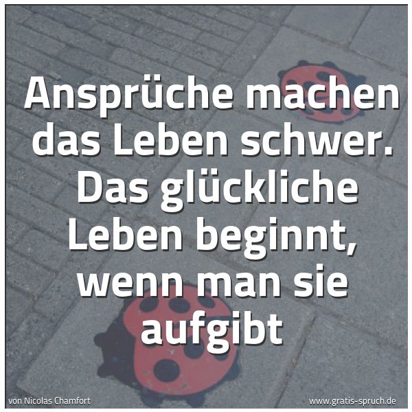 Spruchbild mit dem Text 'Ansprüche machen das Leben schwer.
Das glückliche Leben beginnt, wenn man sie aufgibt '