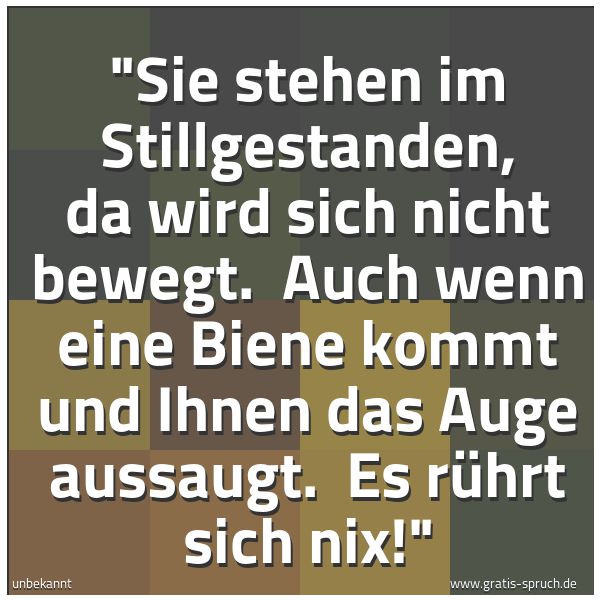 Spruchbild mit dem Text ''Sie stehen im Stillgestanden, da wird sich nicht bewegt.
Auch wenn eine Biene kommt und Ihnen das Auge aussaugt.
Es rührt sich nix!''